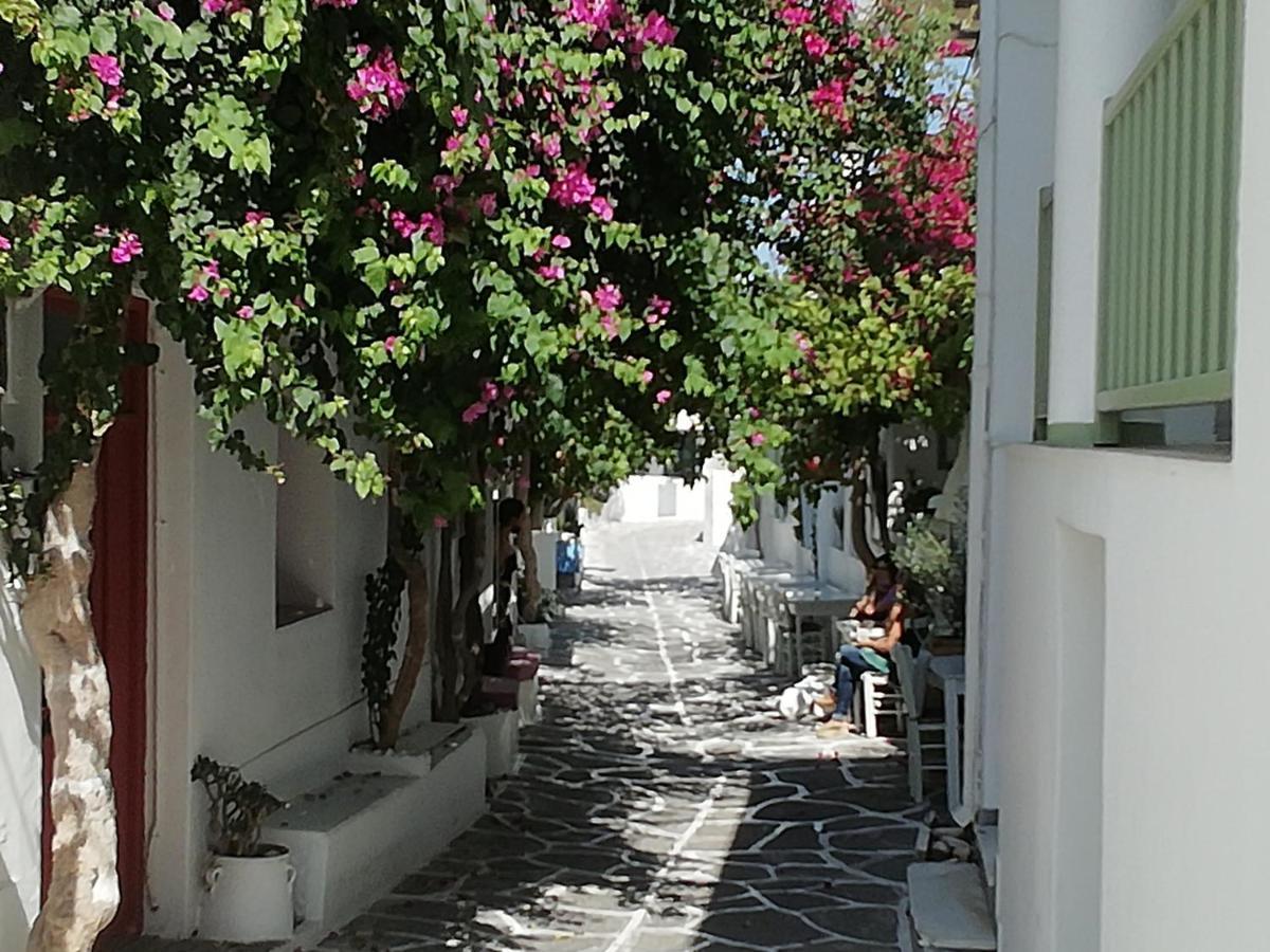 Sunloft-Paros Aparthotel Náousa Exteriör bild