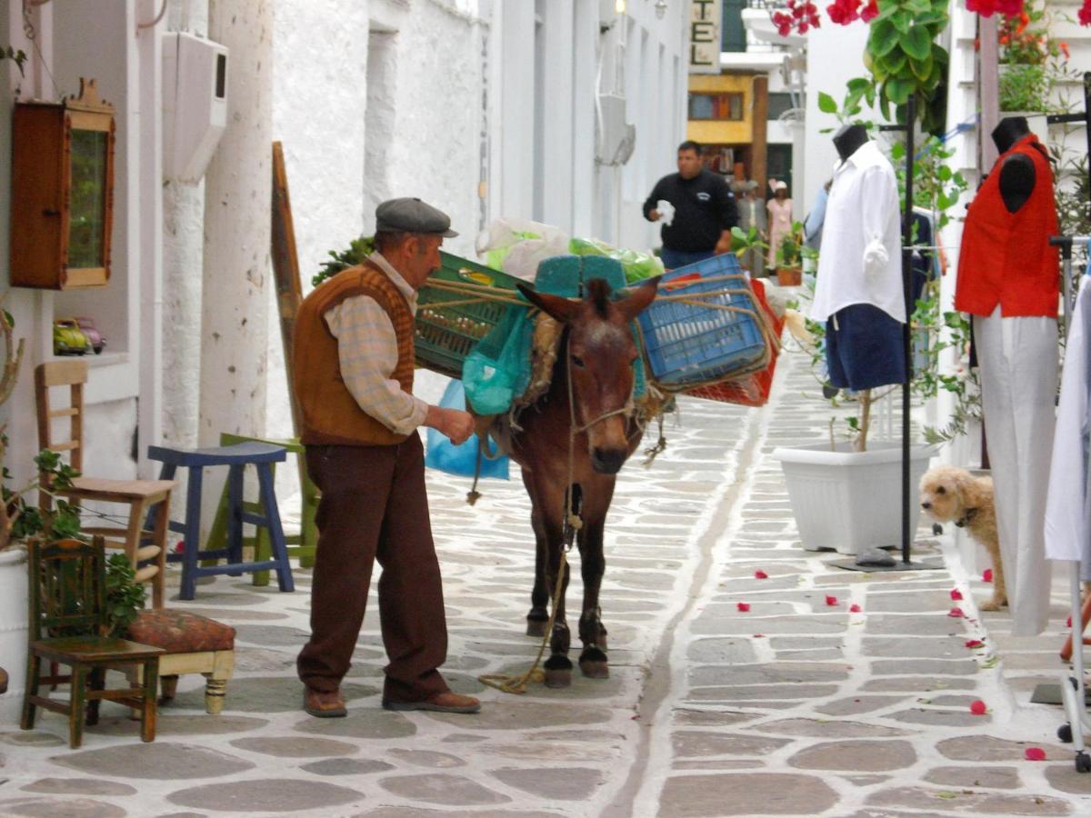 Sunloft-Paros Aparthotel Náousa Exteriör bild