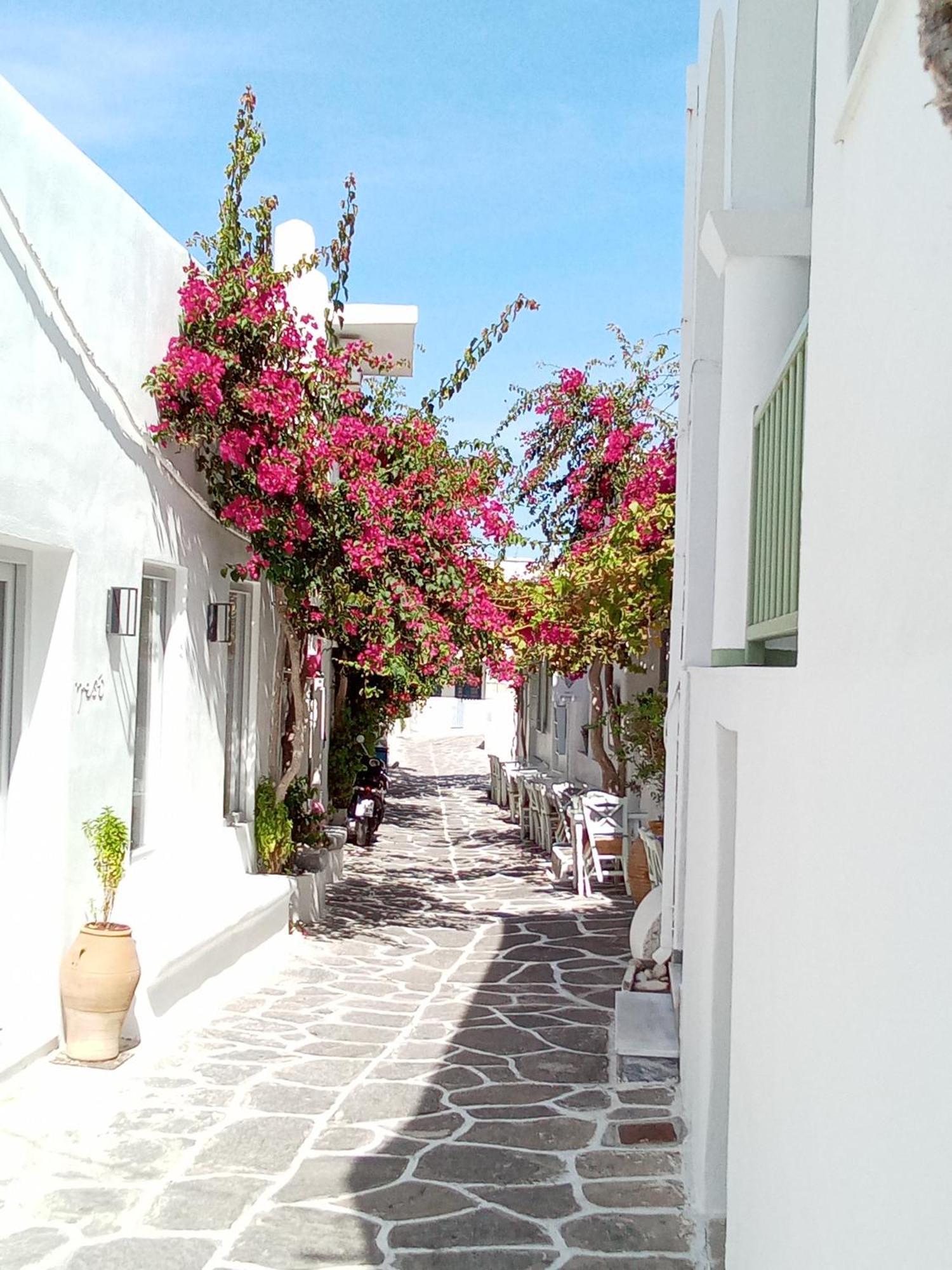 Sunloft-Paros Aparthotel Náousa Exteriör bild